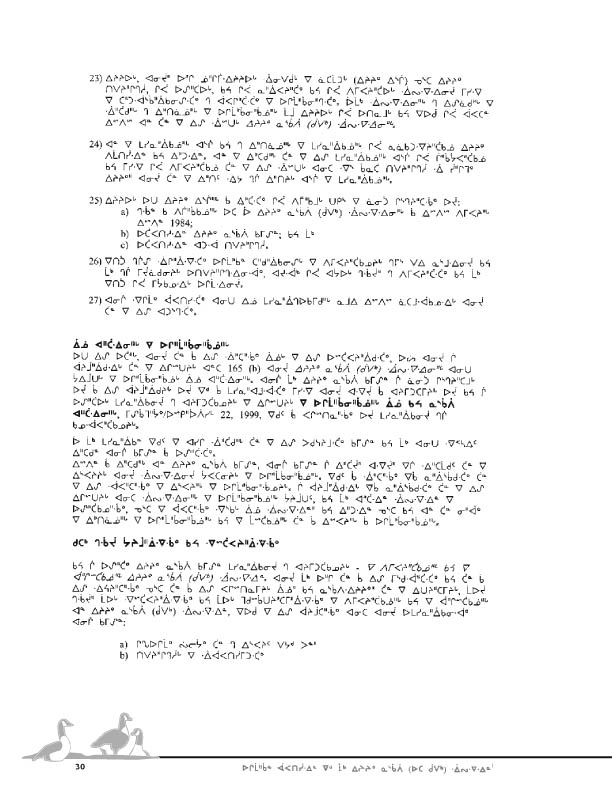 11923 CNC Report 2004_CREE - page 30